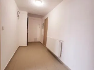 Pronájem bytu 2+1, České Budějovice - České Budějovice 6, 43 m2