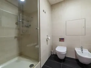 Prodej bytu 3+kk, Praha - Žižkov, Ke kapslovně, 88 m2