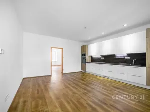 Prodej bytu 3+kk, Plzeň - Jižní Předměstí, Vrchlického, 77 m2