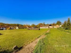 Prodej pozemku pro bydlení, Soběšice, okres klatovy, 5613 m2