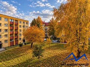 Prodej bytu 2+1, Karviná, tř. Osvobození, 56 m2