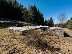 Prodej pozemku pro bydlení, Stožec, okres prachatice, 10137 m2