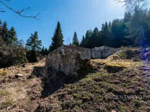 Prodej pozemku pro bydlení, Stožec, okres prachatice, 10137 m2