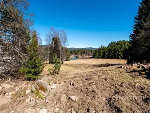 Prodej pozemku pro bydlení, Stožec, okres prachatice, 10137 m2