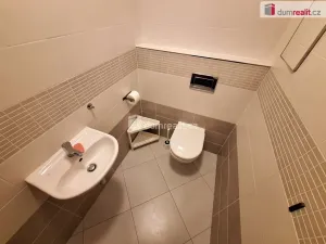 Pronájem bytu 2+kk, Praha, Hlučkova, 63 m2