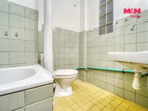 Pronájem bytu 1+kk, Plzeň - Východní Předměstí, Sladkovského, 30 m2