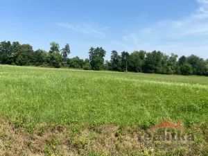 Prodej komerčního pozemku, Opava - Komárov, Ostravská, 10900 m2