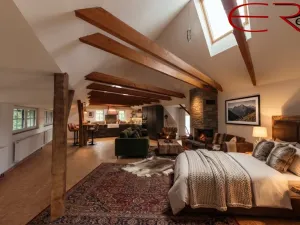 Prodej ubytování, Pěnčín - Alšovice, 780 m2