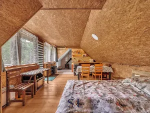 Prodej zemědělské usedlosti, Horní Planá, 200 m2