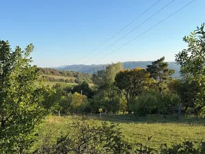 Prodej pozemku pro bydlení, Žítková, 2204 m2