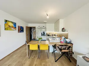 Pronájem bytu 2+kk, České Budějovice - České Budějovice 3, Nová, 80 m2