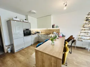 Pronájem bytu 2+kk, České Budějovice - České Budějovice 3, Nová, 80 m2