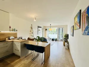 Pronájem bytu 2+kk, České Budějovice - České Budějovice 3, Nová, 80 m2