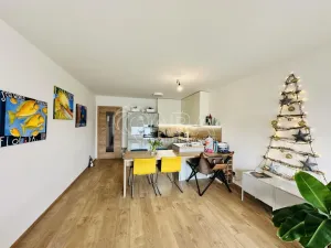 Pronájem bytu 2+kk, České Budějovice - České Budějovice 3, Nová, 80 m2