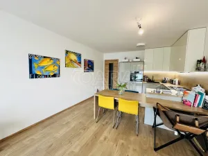 Pronájem bytu 2+kk, České Budějovice - České Budějovice 3, Nová, 80 m2