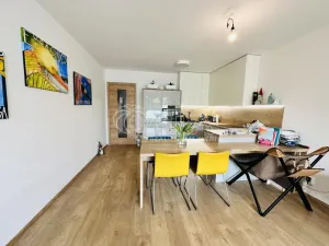 Pronájem bytu 2+kk, České Budějovice - České Budějovice 3, Nová, 80 m2
