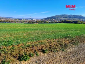 Prodej pole, Sentice, 24461 m2