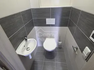 Pronájem bytu 2+kk, Sopřeč, 76 m2