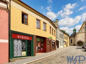 Prodej obchodního prostoru, Třebíč, Hasskova, 240 m2
