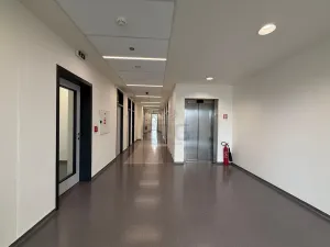 Pronájem kanceláře, Brno - Štýřice, Pražákova, 21 m2
