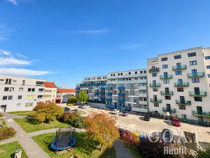 Prodej bytu 1+kk, Plzeň, Karlova, 42 m2