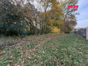 Prodej pozemku, Údlice, 2259 m2