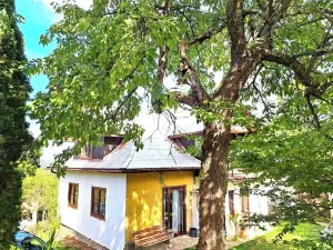 Prodej chalupy, Prlov, 180 m2