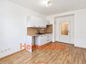 Pronájem bytu 1+kk, Havířov - Město, Hlavní třída, 18 m2