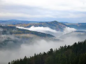 Prodej obchodního prostoru, Karlovy Vary, Šumavská, 78 m2