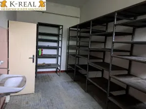 Pronájem skladu, Svatoslav, 420 m2