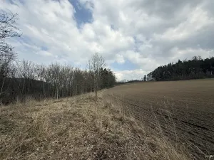 Dražba rodinného domu, Žďárek, 236 m2