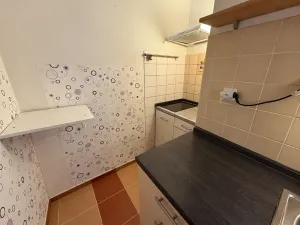 Prodej bytu 1+kk, Jílové u Prahy, Holíkova, 44 m2