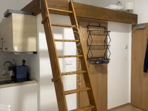 Prodej bytu 1+kk, Praha - Nové Město, Sokolská, 24 m2
