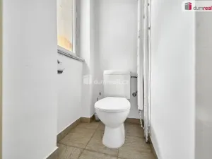 Prodej bytu 2+1, Ostrov, Palackého, 74 m2