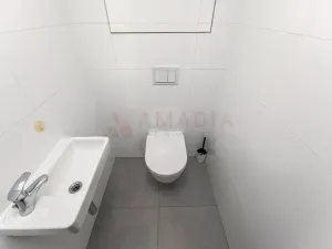 Prodej bytu 1+kk, Praha - Karlín, U Mlýnského kanálu, 80 m2