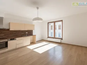 Pronájem bytu 2+kk, Benešov, Jiráskova, 42 m2