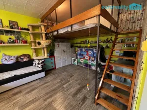 Prodej bytu 3+1, Dešenice, 80 m2