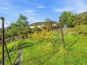 Prodej vily, Ústí nad Labem, Litoměřická, 254 m2