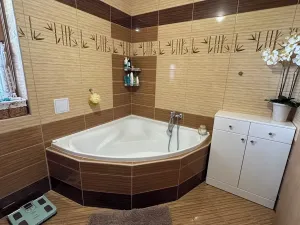 Prodej ubytování, Nové Hutě, 300 m2