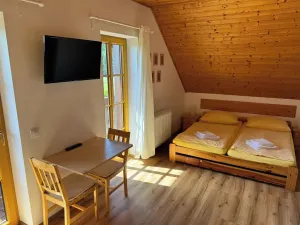Prodej ubytování, Nové Hutě, 300 m2