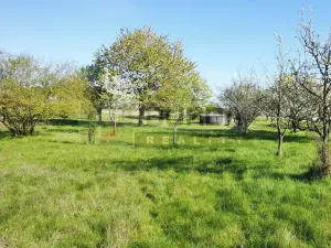 Prodej zahrady, Mělník, 9817 m2