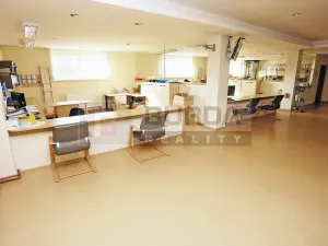 Pronájem komerční nemovitosti, Kojetice, 74 m2