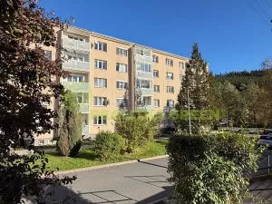 Prodej bytu 2+1, Vsetín, Luh, 53 m2