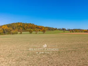 Prodej pozemku pro bydlení, Nespeky, 6564 m2