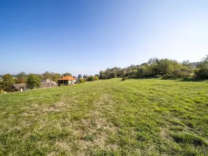 Prodej pozemku pro bydlení, Daleké Dušníky, 5258 m2