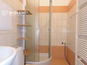 Pronájem bytu 1+1, Teplice, Revoluční, 48 m2