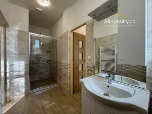 Pronájem bytu 2+1, Teplice, Denisova, 70 m2