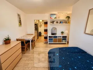 Prodej bytu 2+kk, Praha - Chodov, Tererova, 48 m2