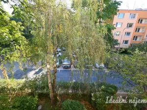 Pronájem bytu 2+1, Brno - Bystrc, Vondrákova, 61 m2