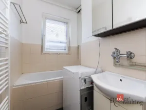 Prodej bytu 1+1, Zabrušany - Všechlapy, 42 m2